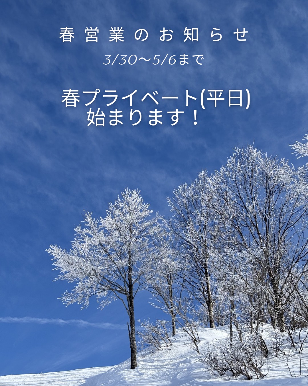 Featured image for “「春プライベート」のお知らせ”